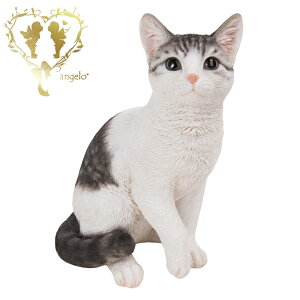  傫ȃTCYŁyTogL() Ftځz CAT@{ ց@K[f G I[ig u  o}  WooBia