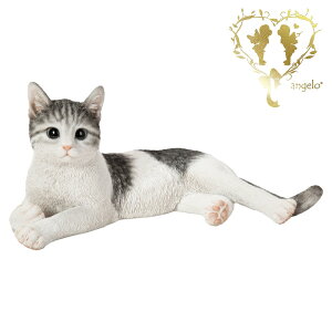  傫ȃTCYŁyTogLz CAT@{ ց@K[f G I[ig u  o}  WooBia