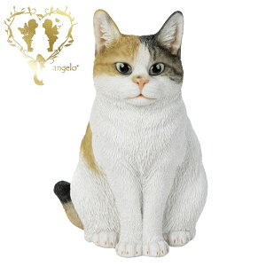  傫ȃTCYŁyOєLz CAT@{ ց@K[f G I[ig u  o}  WooBia