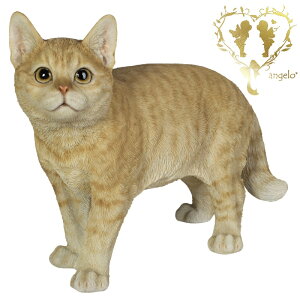 ySi|Cg10{z 傫ȃTCYŁy_[NrXPbgƂL ()z @CAT@{ ց@K[f G I[ig u  o}  WooBia