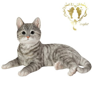  傫ȃTCYŁyTogLz CAT@{ ց@K[f G I[ig u  o}  WooBia