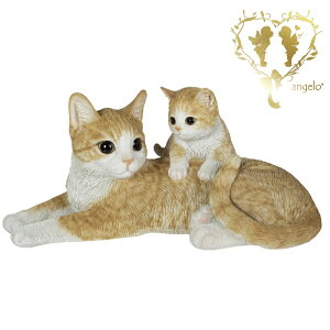  yeq̃rXPbgƂLz @CAT@rO ց@K[f G I[ig u  o}  WooBia