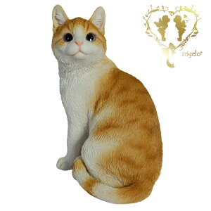  yUԂ钃gLz @CAT@{ ց@K[f G I[ig u  o}  WooBia