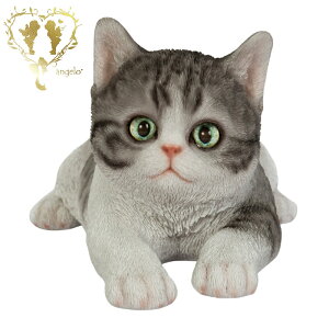  ybNXTogLz CAT@rO I[ig u  o}  WooBia