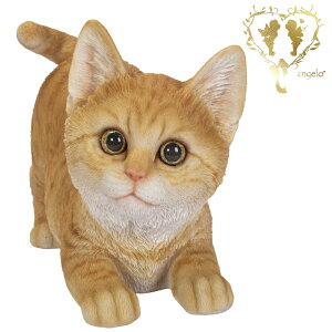  yVԒgLz @CAT@rO@ց@K[f G I[ig u  o}  WooBia