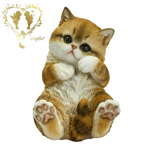  yLWgLz CAT@ rO@ց@K[f G I[ig u  o}  WooBia