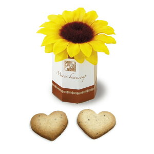 _15It^ Ђ܂ K[f Pi  v`Mtg NbL[  I EFfBO َq Ђ܂  200~ ei ސE ΂܂ IV [CO2025]