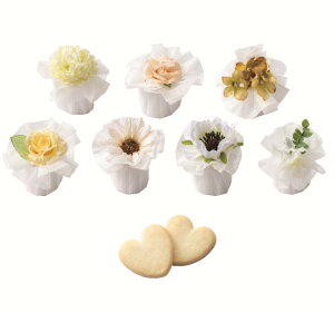 _15It^ XeBbNn[g Pi  v`Mtg NbL[  I EFfBO َq i`  t[ 200~ [CO20255]