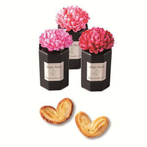 _15It^ [XX}C [ Pi  v`Mtg n[gpC  I EFfBO َq ΂܂ IV 200~ ԕt t[ [CO2025]