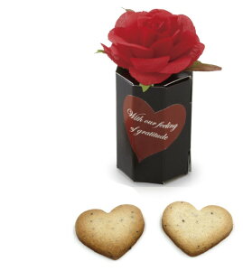 _15It^ [X[W Pi  v`Mtg NbL[  I EFfBO َq ΂܂ IV 300~[CO2025]