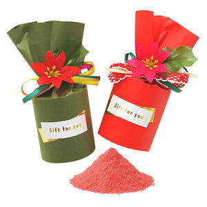 |CZ`A oX  v`Mtg NX}X v[g Cxg ii ei o}L   Ԃ 100~ [HF]