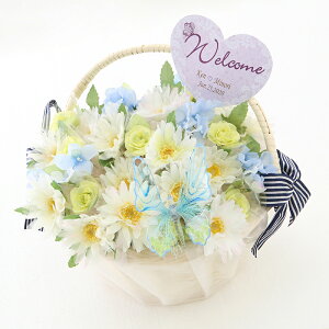 Lf[h E ANA 30{ Zbg ( oXPbgt )  t EFJv[gt v`Mtg t[  LfB  ԕt  p[eB[ o}L [HF20256]