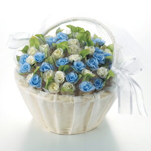 _ 25It ^ u[WC 50{Zbg ( oXPbgt )  t oXPbgt v`Mtg LfB  َq ԕt  I p[eB 񎟉 o}L [HF20256