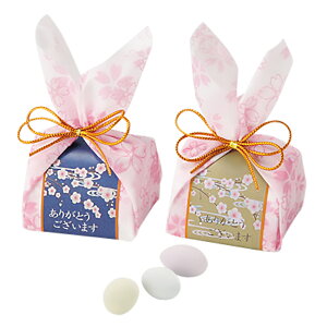 _ 25It ^ ǂ炶  v`Mtg  hWF  I 񎟉 َq 200~ ސE  ԂCxg ii ei o}L IV [HF]