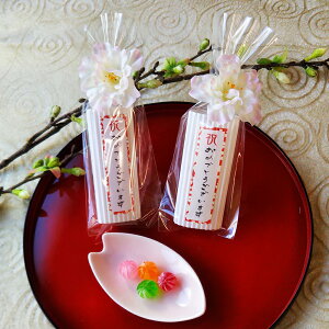  ߂łƂ LfB  v`Mtg  LfB a ߂łƂ j  Vt w  o}L 100~ [HF2025]