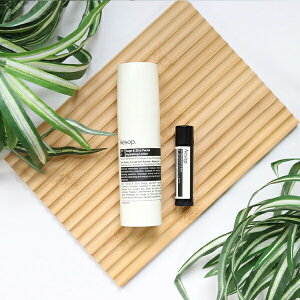 y10OFF!X[p[SALEzyВBOXtz C\bv Aesop TPAZbg Ă~ bvo[TXN[ 2Zbg MtgZbg Mtg Zbg RX ΂Mtg 202