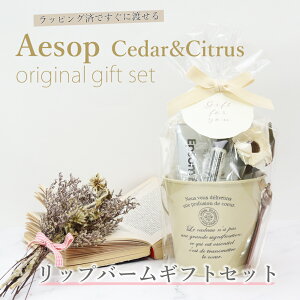 C\bv bvg[gg MtgZbg nh^I Gv\\g bsOΉ  a v[g lC