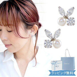 yI[vSALEI5lzy{ρ܁z4°c sAX hV[ Ki fB[X ̃`[t canal4 4x 4c Ji 4hV[ WG[ ANZT[ Vv Wp[ K10z