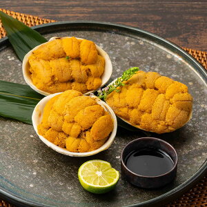 ɊLĂi3Zbgj  nڏX 킫Y!  Ej