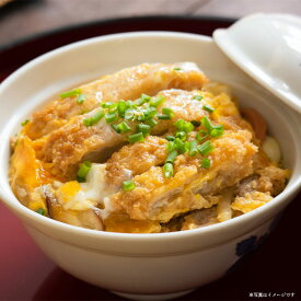 【銀座梅林】 カツ丼の具 銀座 トンカツ 専門店 豚肉 レンチン とんかつ どんぶり 丼 老舗