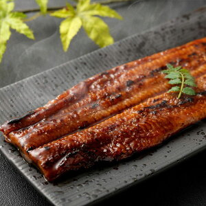 Y ȂĂi5j Y BY Ȃ Ă V EiM ̓ ̓ v[g ΕMtg