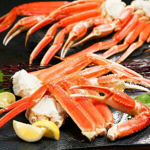 {C킢ɑi1.2kgjJj I YCKj r CN ґ ΕMtg