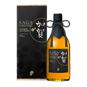 ݍΊy ~ \ܔNn  15N RN[ Kura Master2023 v`i ʏ ̓ ̓ ΕMtg