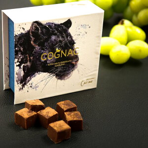 `R(uf[) 2Zbg x^ 20N uf[gp l̐`R ~N`R[g  Mtg mَq  v[g