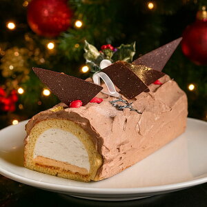 ubVhmGiVRjNX}Xt NX}X P[L 2026  VR `R[g [P[L N[ JX^[h