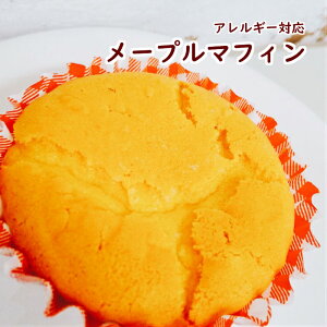 yAM[Ήz de[v}tBi40jiAM[Ή }tB xXg sgp  sgp ĕ [v XC[c َq ĉَq  Oet[ v[