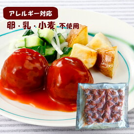 【アレルギー対応】 うす味 たれ付き肉団子（ケチャップ味）30個入（アレルギー対応 卵不使用 乳不使用 小麦不使用 夕食 お昼 お弁当 おやつ おかず 学校給食 クリスマス パーティー 誕生日会 子供会）