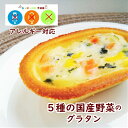 【アレルギー対応】 FM5種の国産野菜のグラタン40g（60個入り）（日東ベスト アレルギー対応 グラタン 国産野菜 国産大豆 豆乳 卵不使用 乳不使用 小麦不使用 おかず おやつ 給食 グルテンフリー 学校 給食 幼稚園 業務用）