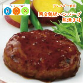 【アレルギー対応】 FMうす味 国産鶏豚使用 照焼ハンバーグ（10個入り） 日東ベスト アレルギー対応 卵不使用 乳不使用 小麦不使用 国産 豚肉 ハンバーグ 照焼き おかず おやつ 給食 業務用