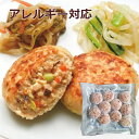 【アレルギー対応】 FM 和風炒り豆腐包み焼きハンバーグ（10個入り）（日東ベスト アレルギー対応 卵不使用 乳不使用 小麦不使用 おかず おやつ 給食 グルテンフリー 学校 給食 幼稚園 業務用）