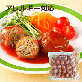 【アレルギー対応】 うす味 野菜いろいろ肉団子 （25個入）（肉団子 野菜 アレルギー対応 卵不使用 乳不使用 小麦不使用 業務用 給食 幼稚園 学校 施設 夕食 お昼 お弁当 おやつ 学校給食 クリスマス パーティー 誕生日会 子供会）