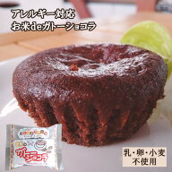 【アレルギー対応】 NEW お米deガトーショコラ（20個入り）( アレルギー対応 米粉 スイーツ お米deタルト…