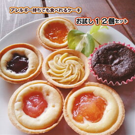 楽天市場 給食 学校 デザートの通販