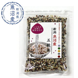 /  / ̔_ƂŏW߂܍ 200g (n VY V G 邿 ԕ    N wV[ ʂ Y _  IXX  