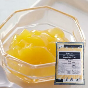 AW _CX [[ YB݂i1kgji ݂ [[ H fU[g XC[c َq  p[eB[ wZ ct ۈ牀 a sH CTt[Y j