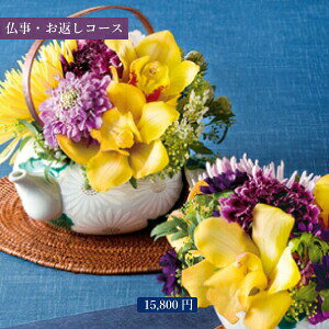 /  / J^OMtg 15,800~R[Xi t WC jy Ε oYj oY 蕨 v[g TԂ  O j Cj  o Mtg z Ԃ 