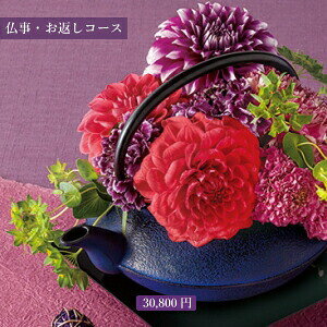 /  / J^OMtg 30,800~R[X i t  jy Ε oYj oY 蕨 v[g TԂ  O j Cj  o Mtg z Ԃ 