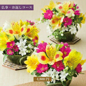 / 送料無料 / カタログギフト 4800円コース ( 奏 丘陵 )【お中元 お歳暮 出産内祝い 出産 贈り物 プレゼント 香典返し 葬式 グルメ 内祝い 快気祝い 結婚 引出物 ギフト 引越し お返し お取り