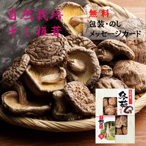 yÊEbZ[WJ[hzBY؂ǂ񂱒ő SPD-30 iő  VC^P ǂ Ε  ̓ ̓ hV̓ v[g  oYj Cj  Mt