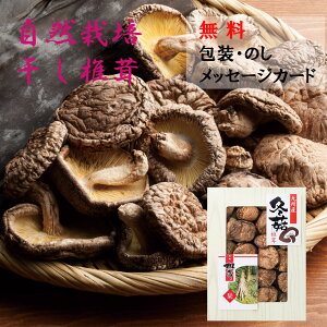 yÊEbZ[WJ[hzBY؂ǂ񂱒ő SPD-50 iő  VC^P ǂ Ε  ̓ ̓ hV̓ v[g  oYj Cj  Mt