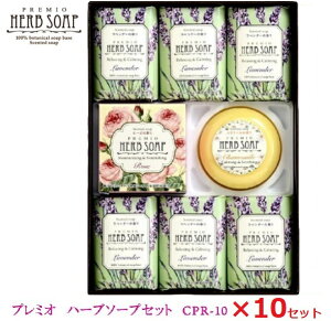 v~I n[u\[vZbg 10ZbgI CPR-10Ό/Ō`Ό/A}/x_[/̓/Ε//蕨w/ʍw/d/ʎd/yY/eiii/mxeB/v[