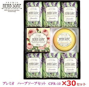 v~I n[u\[vZbg 30ZbgI CPR-10Ό/Ō`Ό/A}/x_[/̓/Ε//蕨w/ʍw/d/ʎd/yY/eiii/mxeB/v[