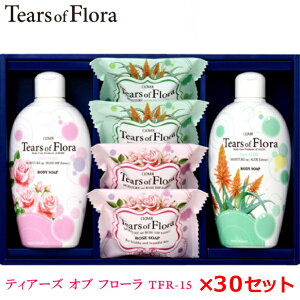 eBA[Y Iu t[ MtgZbg 30Zbg! TFR-15Ό/Ō`Ό/A}/̓/Ε//蕨w/ʍw/d/ʎd/yY/eiii/mxeB/v[g/