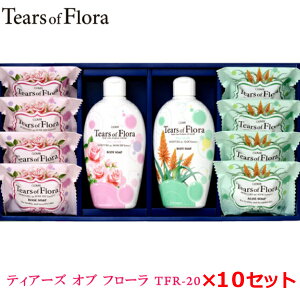 eBA[Y Iu t[ MtgZbg 10Zbg TFR-20Ό/Ō`Ό/A}/̓/Ε//蕨w/ʍw/d/ʎd/yY/eiii/mxeB/v[g/