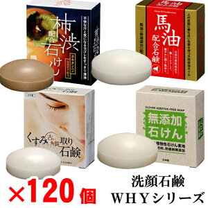 ΌWHYV[Y 120!iށjΌ/Ō`Ό/Y/̓/Ε//蕨w/ʍw/d/ʎd/yY/eiii/mxeB/v[g/̈o