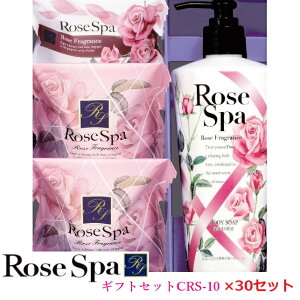 [YXp@MtgZbg 30Zbg! CRS-10Ό/{fB[\[v/̓/Ε//蕨w/ʍw/d/ʎd/yY/eiii/mxeB/v[g/̈